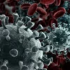Hasil Riset: Virus Corona Bermutasi dan Kian Mudah Menginfeksi Sel Manusia