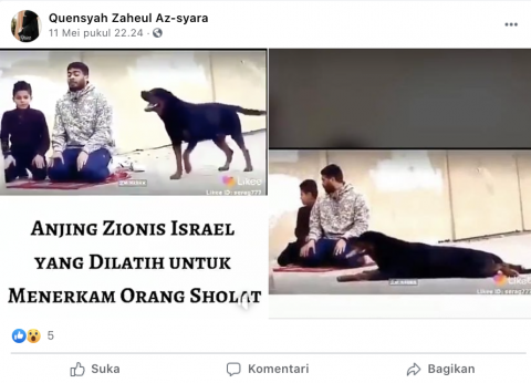 Fakta Video Anjing Zionis Israel Dilatih untuk Menerkam Orang Salat