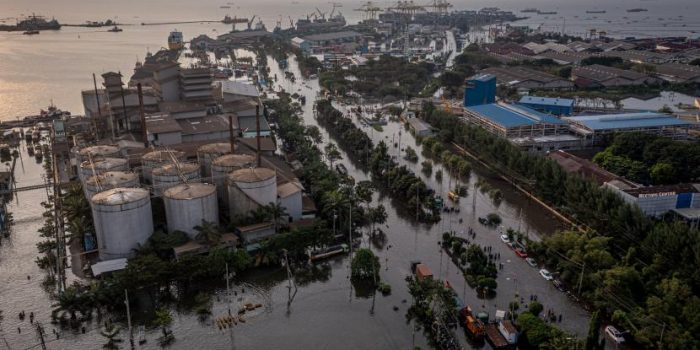 Bencana Rob Jateng, Walhi: Hentikan Relokasi Mangrove dan Pembangunan Tol Tanggul Laut Semarang-Demak