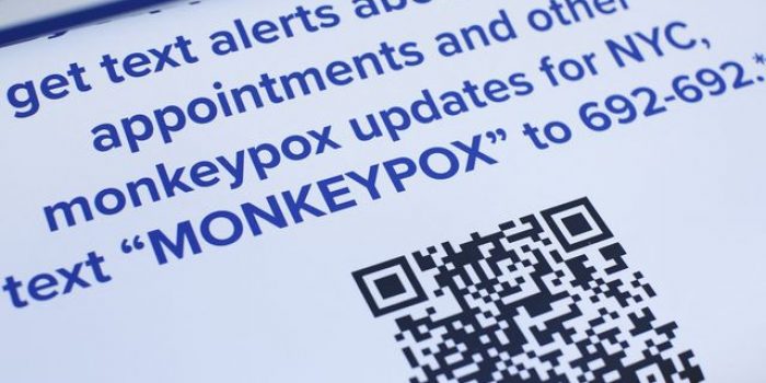 New York Umumkan Keadaan Darurat Kesehatan Virus Cacar Monyet