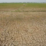 Perubahan Iklim Hantui Wilayah Asia, Indonesia Masuk Peringatan Khusus PBB Terkait Dampak Pemanasan Global