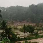 PVMBG Sebut Hujan Lebat Jadi Penyebab Tanah Longsor di Subang