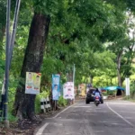 Penuh Sesak Wajah Caleg di Pohon, Sampah Visualnya Berbahaya hingga Biaya Baliho Mahal dan Tak Pengaruhi Elektabilitas