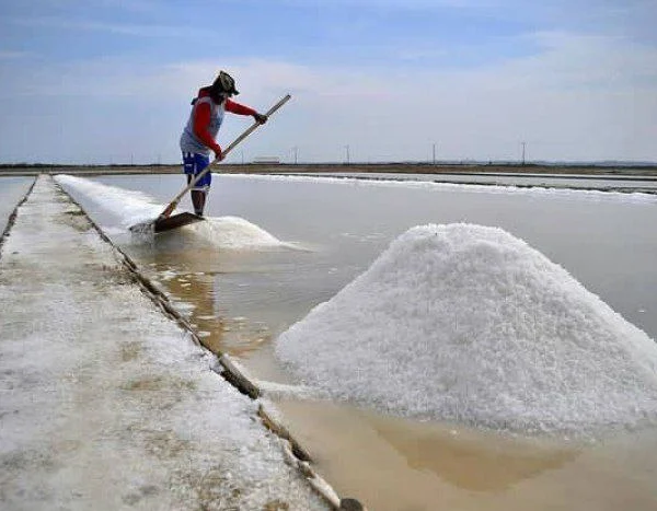Garis Pantai Terpanjang Kedua di Dunia, Indonesia Belum Punya Status Produsen Garam Terbesar, Ada Masalah Impor dan Kontaminasi Mikroplastik