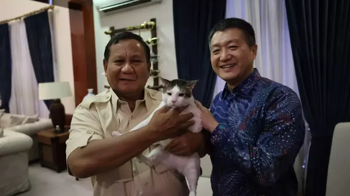 Kucing Bernama Bobby Cairkan Suasana, Prabowo Subianto Terima Kunjungan Duta Besar China untuk Indonesia