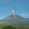 Hari Ini, PVMBG: Abu Vulkanik Gunung Semeru Setinggi 800 Meter