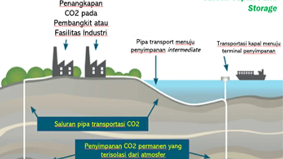 ESDM: Hulu Migas Indonesia Berpotensi Menyimpan Karbon, Ada 20 Cekungan