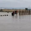 Demak: 44 Desa 8 Kecamatan Terendam Banjir Akibat Tanggul Jebol