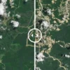 National Aeronautics and Space Administrationcode Soroti Perubahan Kawasan Hutan Kalimantan Usai Pembangunan IKN