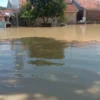 36 Desa 9 Kecamatan 20 Ribu Rumah Terdampak Banjir di Kabupaten Cirebon
