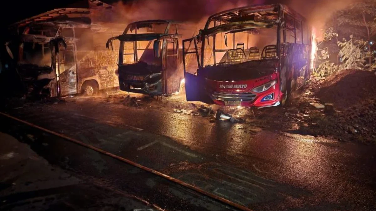 Penampakan 3 Bus PO Margomulyo Terbakar di Pekalongan, Diduga Kerugian Rp2 Miliar