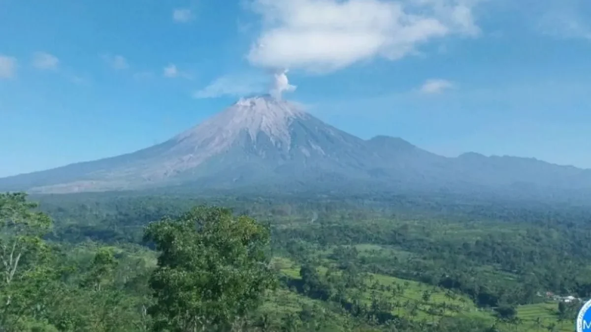 Gunung Semeru erupsi dengan letusan setinggi 600 meter di atas puncak Mahameru pada Kamis (16/5/2024), pukul 0