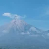 Gunung Semeru erupsi pada Jumat (17/5) pukul 08.05 WIB. (PVMBG/Antara)