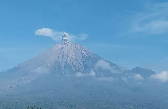 Gunung Semeru erupsi pada Jumat (17/5) pukul 08.05 WIB. (PVMBG/Antara)
