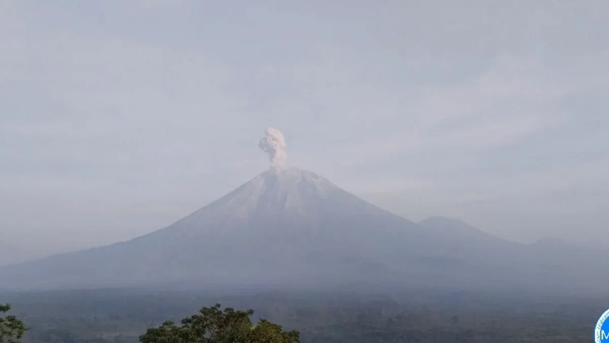 Gunung Semeru erupsi dengan tinggi kolom abu vulkanik teramati sekitar 900 meter di atas puncak pada Jumat (24