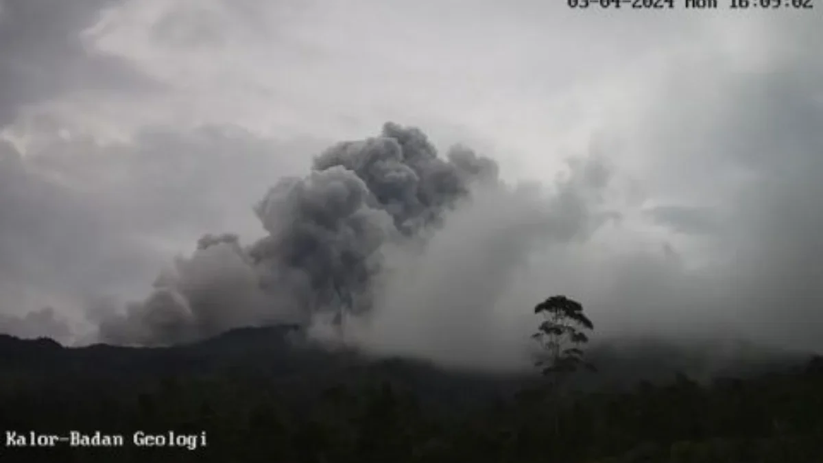 Awan panas Gunung Merapi Merapi hasil tangkapan kamera BPPTKG(Dok.BPPTKG)